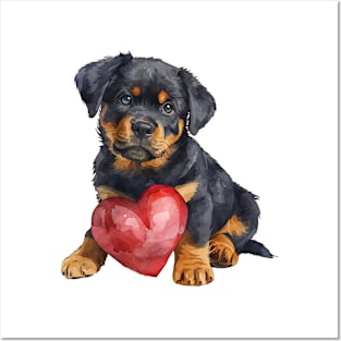 Valentine Rottweiler Holding Heart Posters and Art